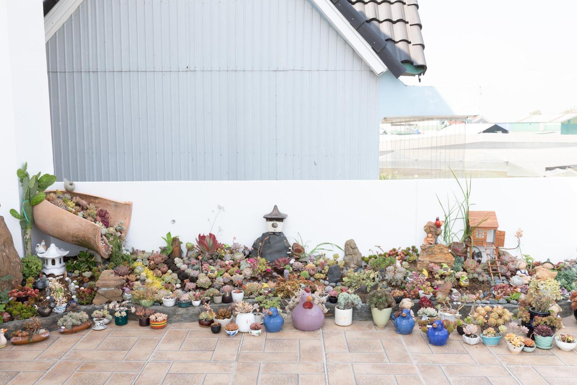 Khach San Anh Sang - Light House Hotel Đà Lạt Ngoại thất bức ảnh